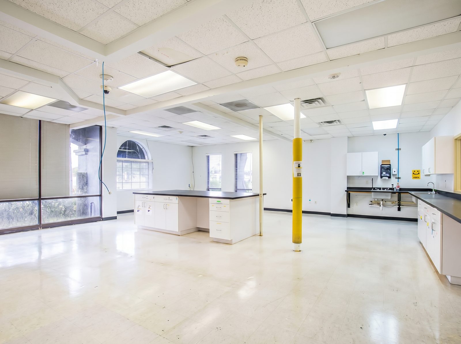 Lab island sink